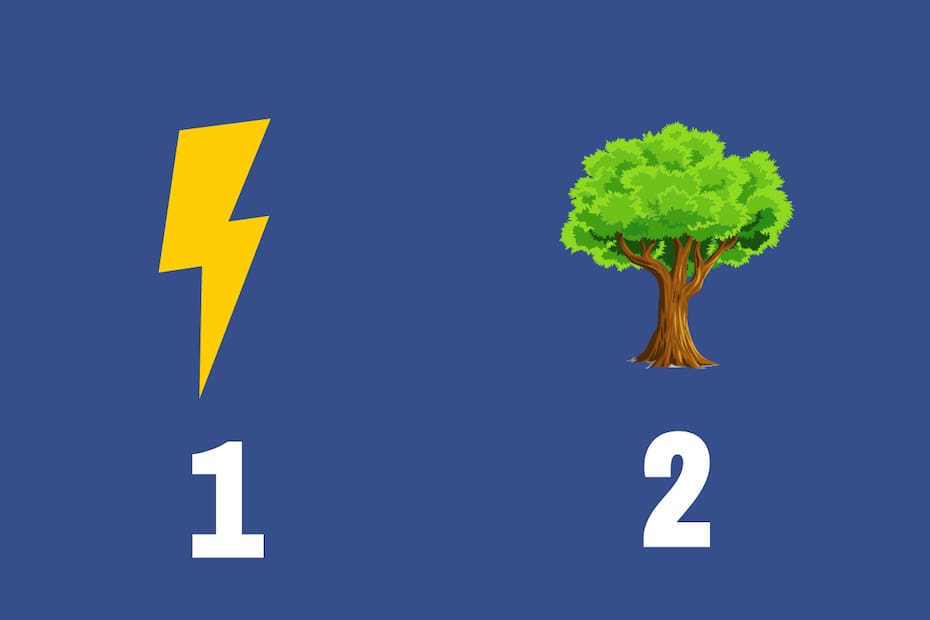 ¿Rayo o Árbol? Descubre si eres una persona que toma acción o reflexiona antes de actuar
