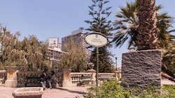 ¿Qué hacer en Santiago HOY? 4 imperdibles panoramas para este lunes 9 de febrero