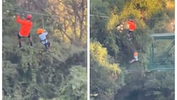 Video | Niño cae de una tirolesa a casi 12 metros de altura y momentos de tensión entre los presentes