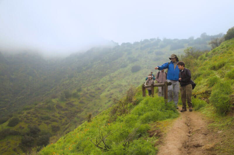 Ideal para visitar incluso con los más chicos de la casa. Créditos: Parquemet.
