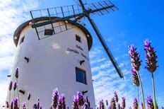 Parece sacado de Europa: el impresionante molino de viento escondido en Lo Barnechea y que puedes visitar gratis