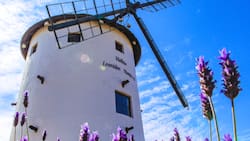 Parece sacado de Europa: el impresionante molino de viento escondido en Lo Barnechea y que puedes visitar gratis