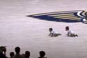 VIDEO | Tradicional carrera de bebés se robó las miradas en la NBA