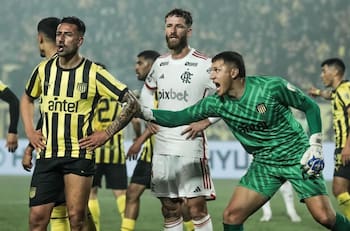 Fue semifinalista de Libertadores, Almirón le bajó el pulgar en Colo Colo y ahora quedó libre