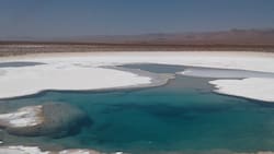 Lagunas Escondidas de Baltinache en el Desierto de Atacama: un panorama que no puedes saltarte
