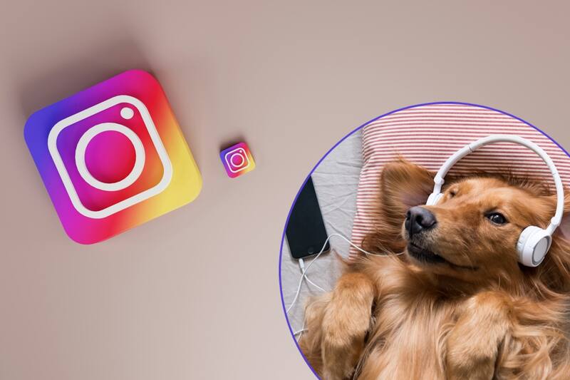 La nueva función de la red social está enfocada en lo musical.