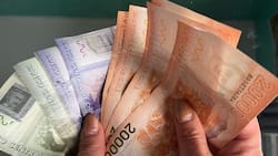 Cómo saber si tienes bonos sin cobrar en el IPS: revisa el paso a paso