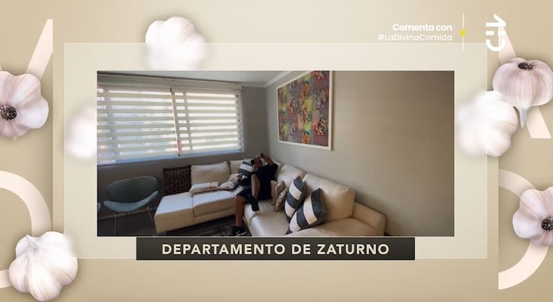 Su sillón favorito y el cuadro que trajo desde Suecia / CHV