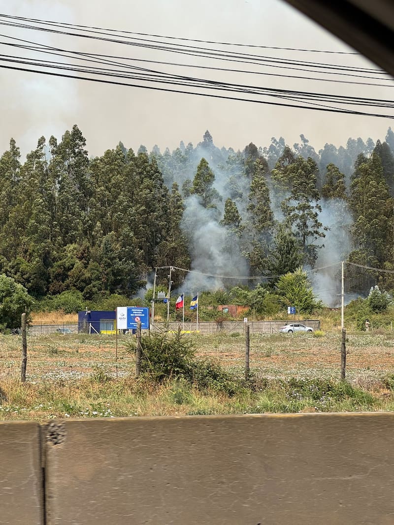 Incendio se acerca al centro deportivo. Foto: Carlos Campos