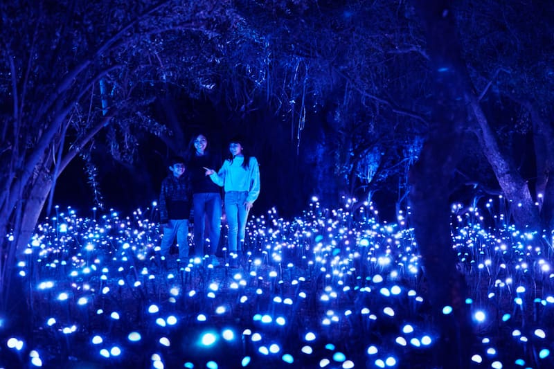 Este panorama vuelve al Parque Metropolitano de Santiago. Créditos: Light Cycles.