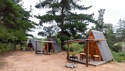 Este es el refugio chileno que parece sacado de un cuento: Visitarlo es un plan imperdible para cerrar las vacaciones de verano