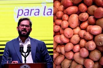 VIDEO | Boric tras baja de las papas en IPC de diciembre “por la cresta que estaban caras”