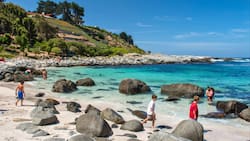 5 playas ocultas para escaparse en marzo: son tranquilas, perfectas y están muy cerca de Santiago