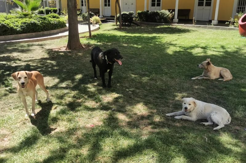 Una de las mayores dificultades tiene que ver con el dinero.