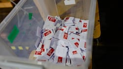 Elecciones Consejo Constitucional: ¿Qué hago si mi empleador no me deja ir a votar?