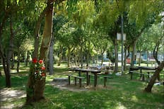 A casi una hora de Santiago: Este camping rodeado de naturaleza tiene una laguna perfecta para hacer kayak