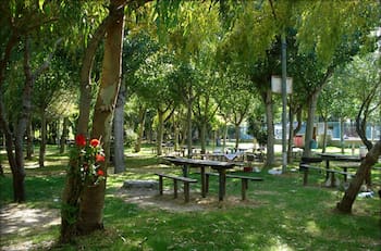 A casi una hora de Santiago: Este camping rodeado de naturaleza tiene una laguna perfecta para hacer kayak