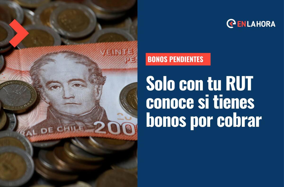 Bonos Pendientes: Consulta si tienes algún beneficio por cobrar ingresando solo con tu RUT