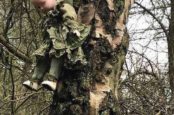 ¡Qué miedo! En el bosque de Inglaterra encuentran a muñecas clavadas en los arboles