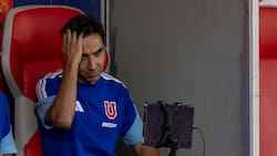 “Es muy pronto para hablar de una salida de Meneghini, es cosa que le agarre la mano al plantel”