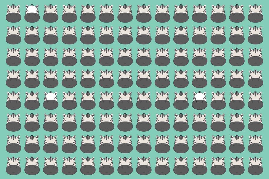 ¿Dónde están las cebras blancas con menos rayas?