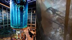 VIDEO | Explota el acuario cilíndrico más grande del mundo: Dos personas resultaron heridas