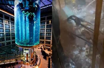 VIDEO | Explota el acuario cilíndrico más grande del mundo: Dos personas resultaron heridas