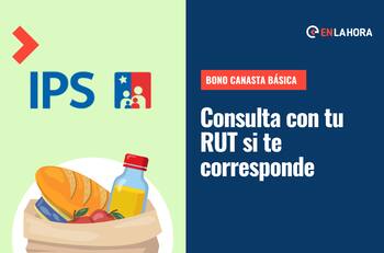 Bono Canasta Básica: Revisa solo con tu RUT si recibirás el pago de este mes
