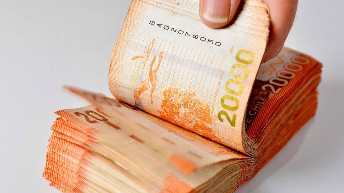 Bonos Pendientes: Chequea solo con tu RUT si tienes beneficios del Estado sin cobrar