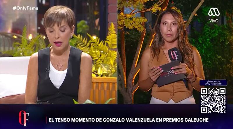 Fran García-Huidobro reveló actriz involucrada en funa contra Roberto Farías. Créditos: Instagram