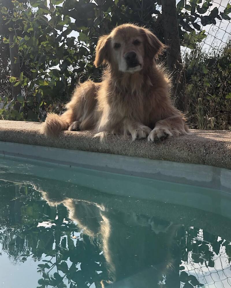 Ambos solían disfrutar de la piscina.