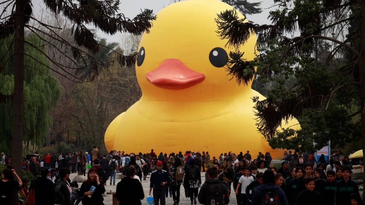 Festival Hecho en Casa: dónde ver al pato de hule gigante y hasta cuándo está en la Región Metropolitana