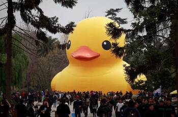 Festival Hecho en Casa: dónde ver al pato de hule gigante y hasta cuándo está en la Región Metropolitana