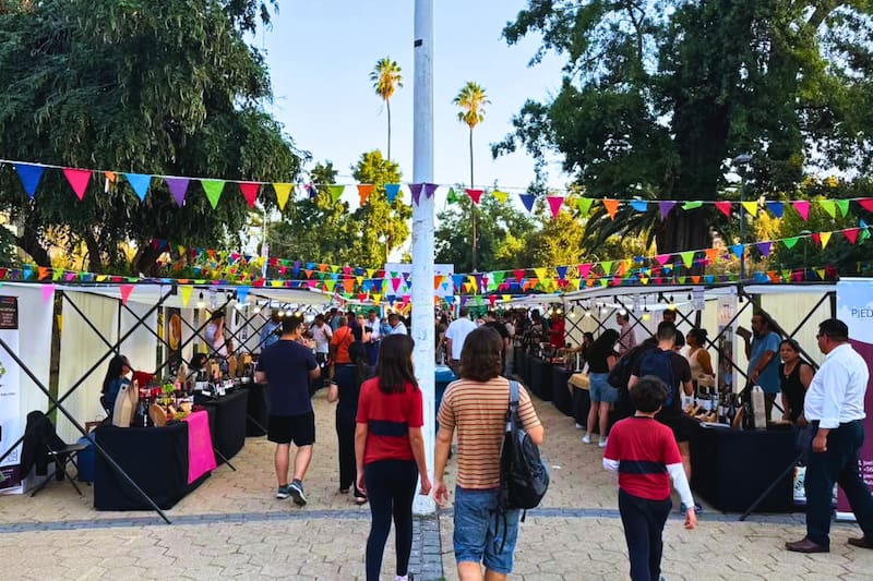 El panorama que ofrece una experiencia al aire libre única en Ñuñoa. Foto: Cámara de Comercio, Turismo y Emprendedores de Ñuñoa en Instagram.