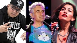 "La música en vivo no es un delito": Zaturno, Jorge González, Ana Tijoux y otros músicos exigen el regreso de los shows en vivo