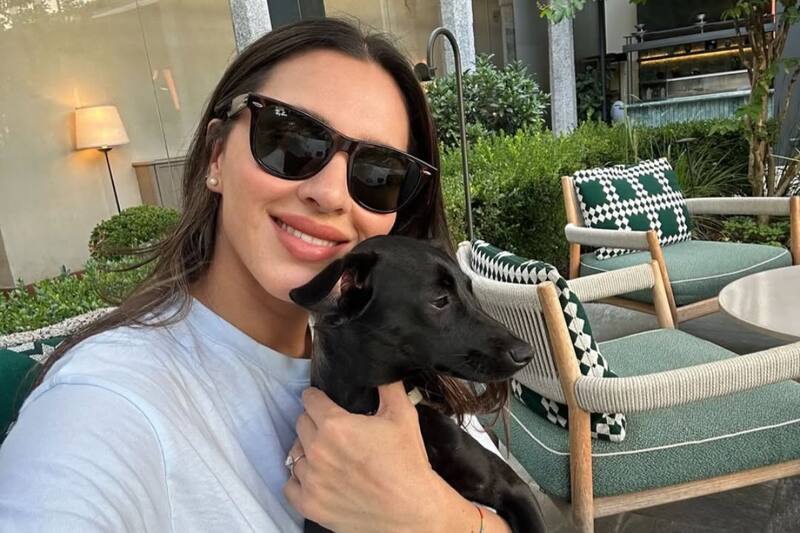 convirtió su casa en un hogar temporada para dos perritas.