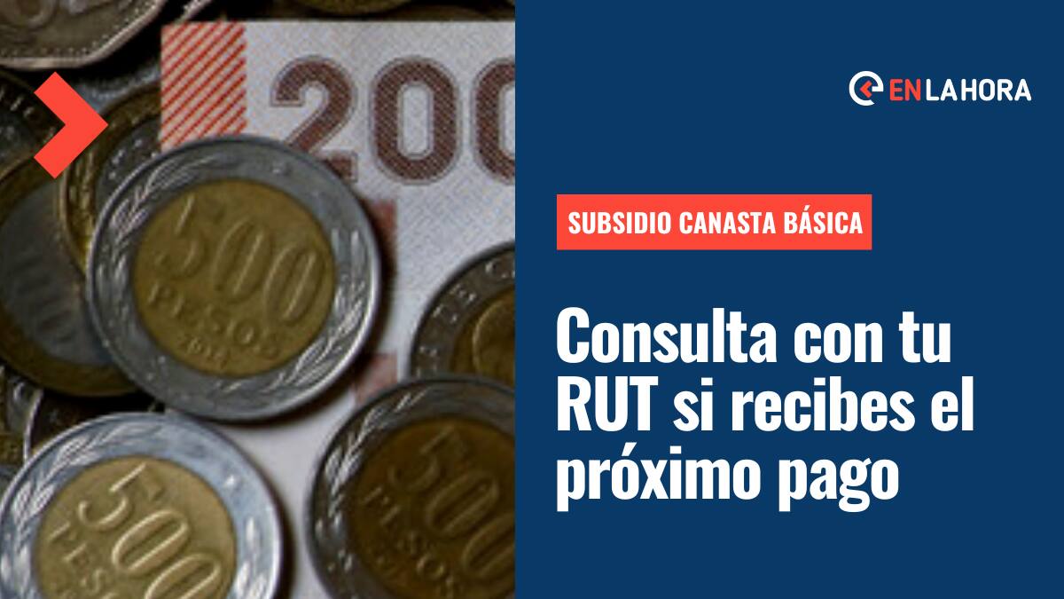 Nuevo pago del Bono Canasta Básica: Consulta con tu RUT si recibes el aporte y cuál es el monto para el mes de agosto