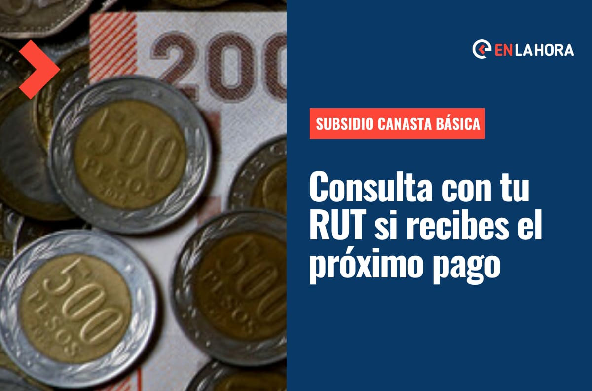 Nuevo pago del Bono Canasta Básica: Consulta con tu RUT si recibes el aporte y cuál es el monto para el mes de agosto