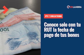 IPS y ChileAtiende: Consulta con tu RUT la fecha de pago de tus bonos y subsidios del Estado