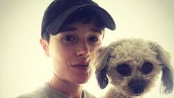 "Una de las figuras públicas más admiradas y respetadas de su generación": Elliot Page será galardonado en importante festival de cine LGBTIQ+