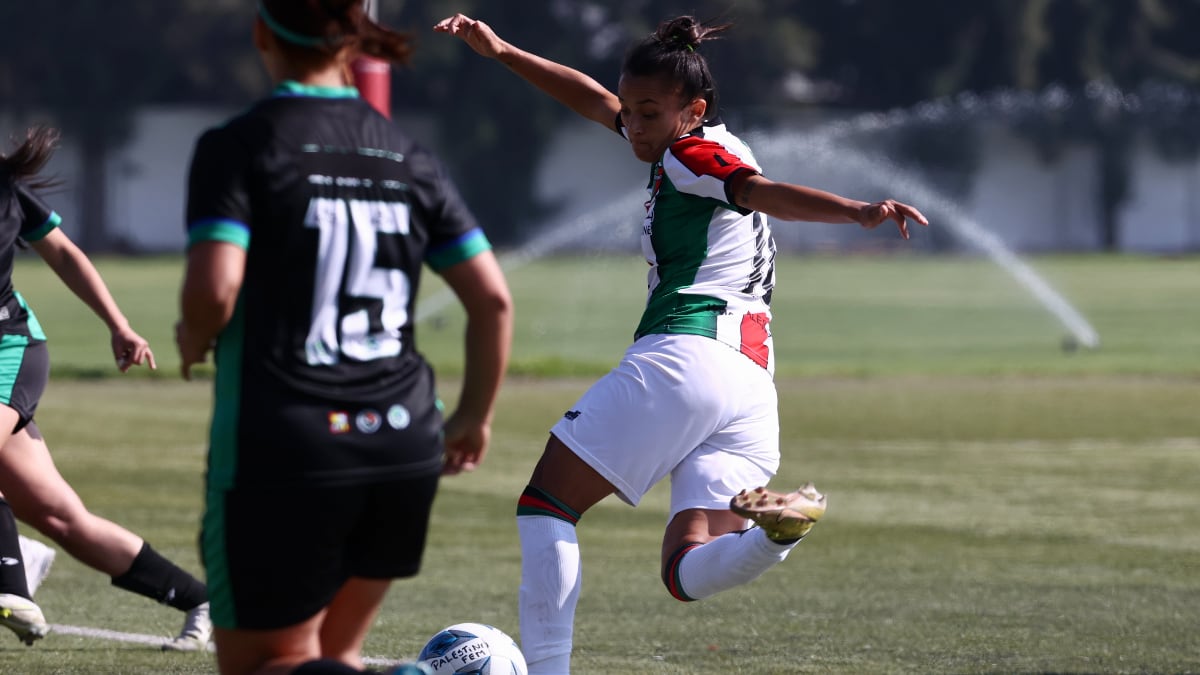 Palestino vs Deportes Puerto Montt Campeonato Nacional Femenino