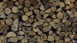 Puedes tener pendientes hasta $100 mil: Consulta con tu RUT si recibiste el Bono Calefacción