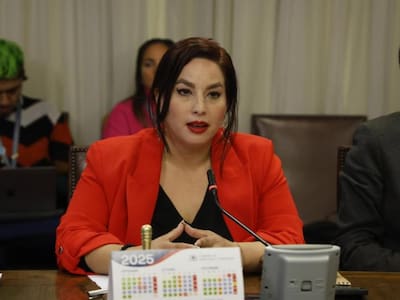 “La única mala decisión que tomó en su vida...”: Habló diputada y hermana de hincha fallecido en el Monumental