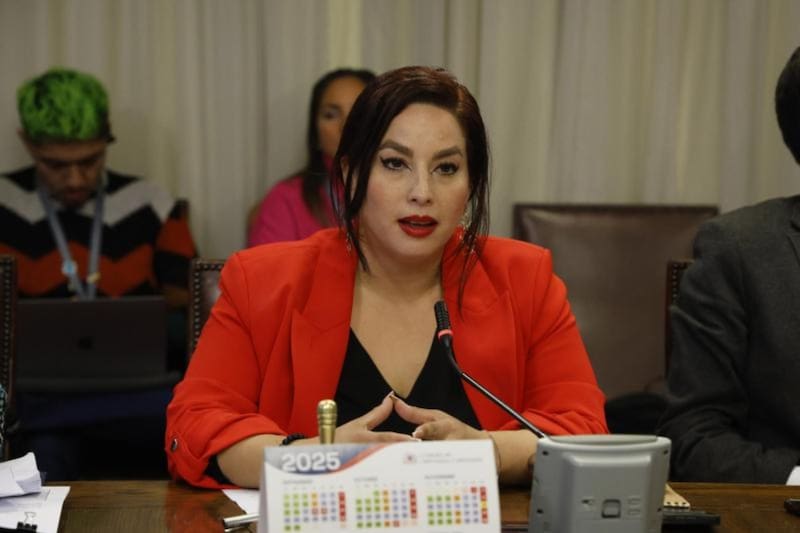 La diputada era hermana del hincha fallecido en el Estadio Monumental.