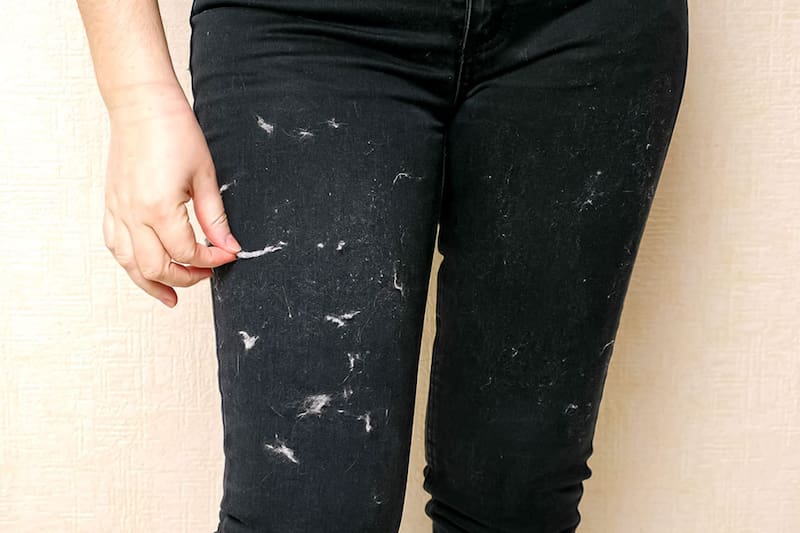 Con solo un elemento de tu cocina lo podrás conseguir. Créditos: Uno TV.