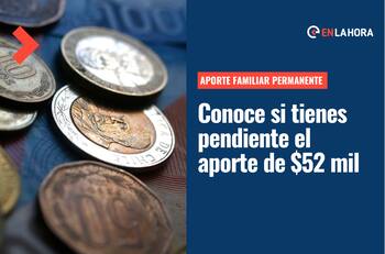 Aporte Familiar Permanente: Averigua con tu RUT si tienes el pago pendiente de $52 mil