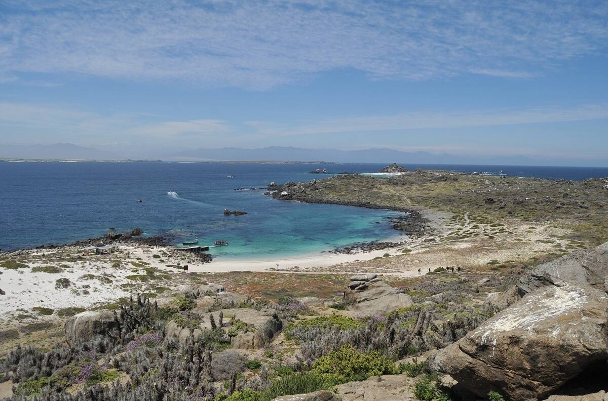 Proyecto Dominga: de qué se trata y por qué causa polémica su aprobación