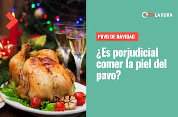 Fiestas de fin de año: ¿Es perjudicial para la salud comer la piel del pavo que cocinamos?