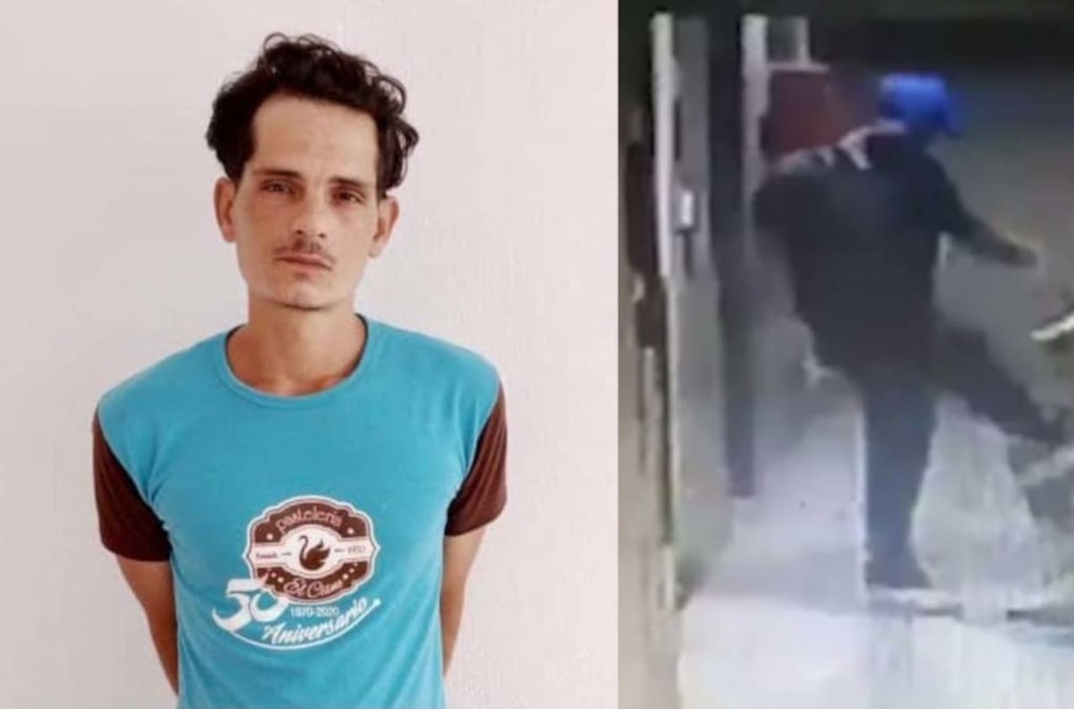 VIDEO | Sujeto mató a perro guía de mujer ciega de una patada: lo golpeó solo por ladrarle