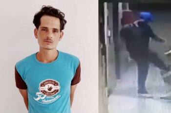 VIDEO | Sujeto mató a perro guía de mujer ciega de una patada: lo golpeó solo por ladrarle